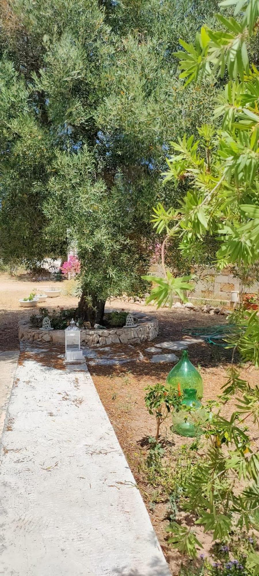 Trullo Alessandro E Villa Raffaela サン・ヴィート・デイ・ノルマンニ 部屋 写真