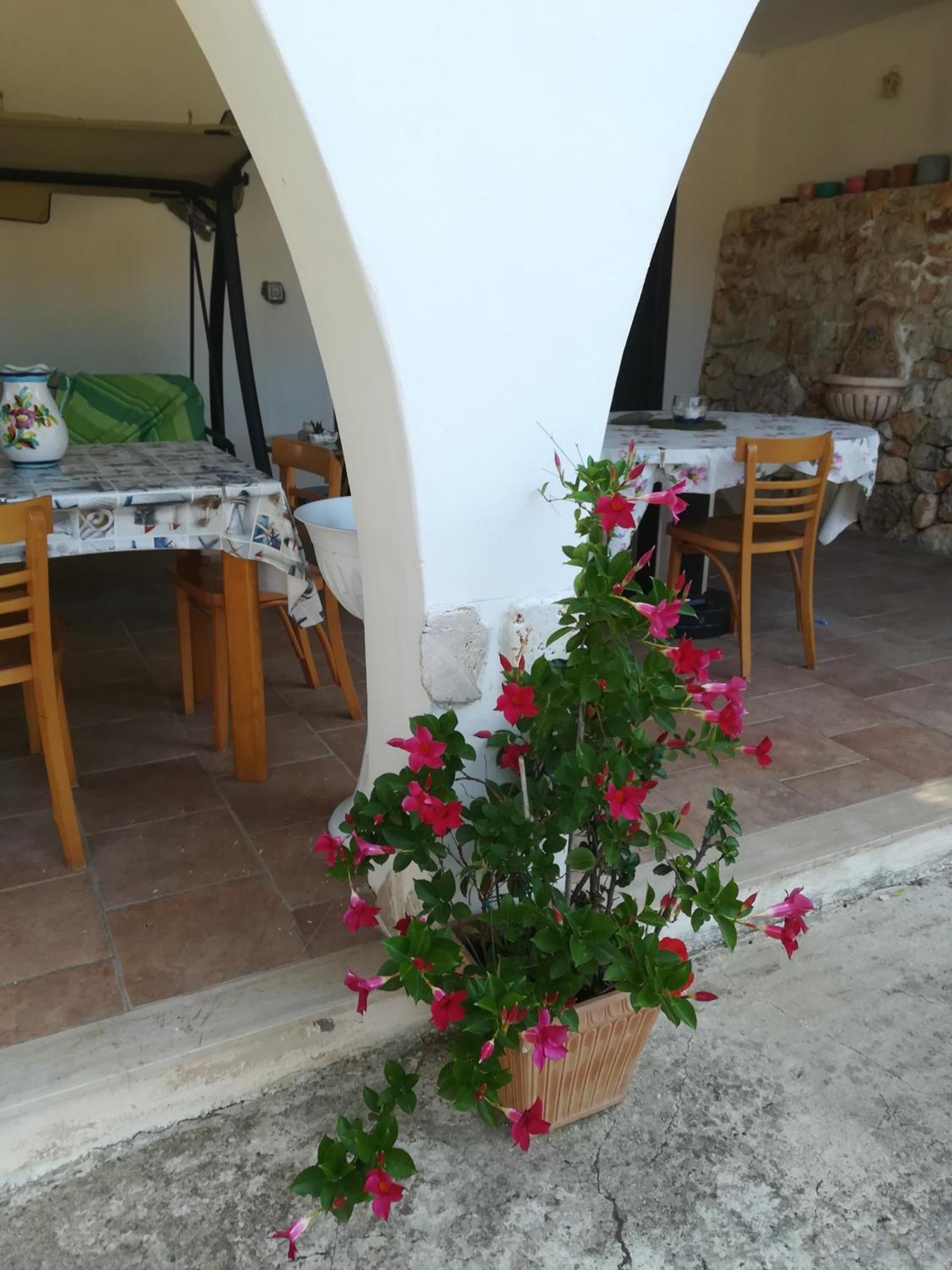 Trullo Alessandro E Villa Raffaela サン・ヴィート・デイ・ノルマンニ 部屋 写真